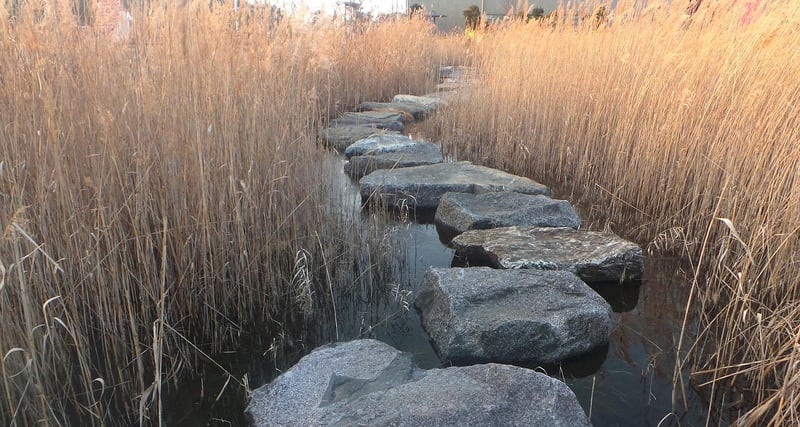 DIY Garden Stepping Stones